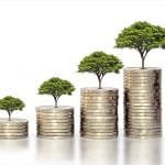 Green bonds and prevention of greenwashing