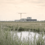 Dutch polder landscape with reeds in the foreground and an industrial building with a crane on the horizon